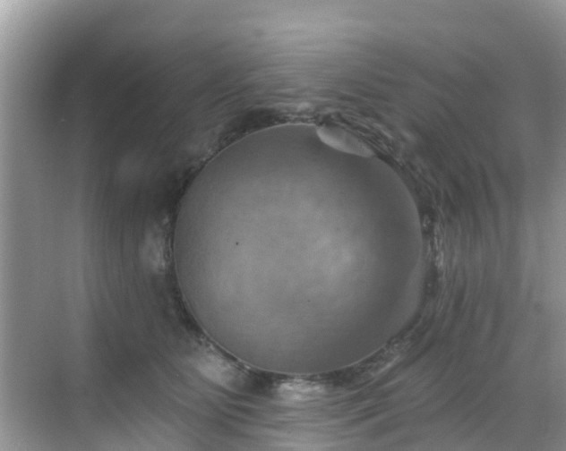 X0000068820515200605081149