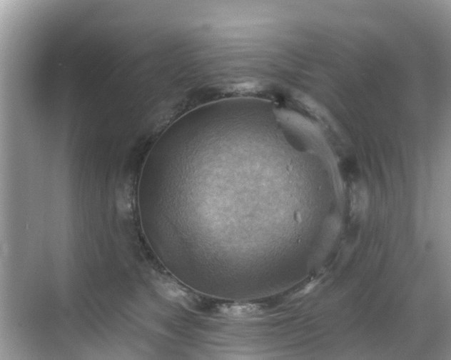 X0000068820517200605081149