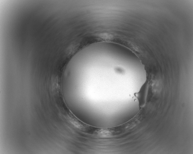 X0000068820518200605081149