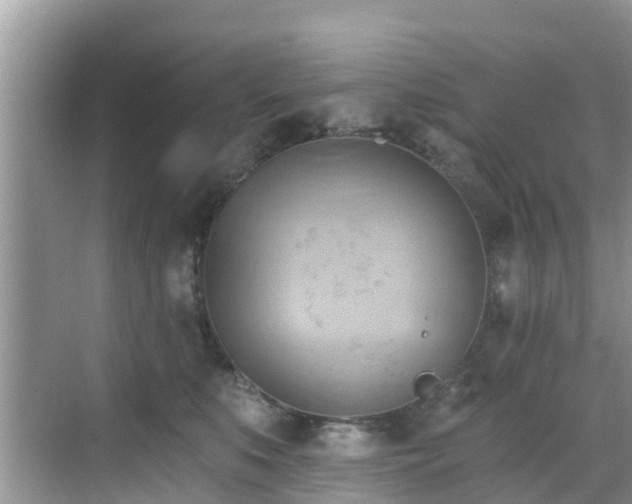 X0000068820519200605081149