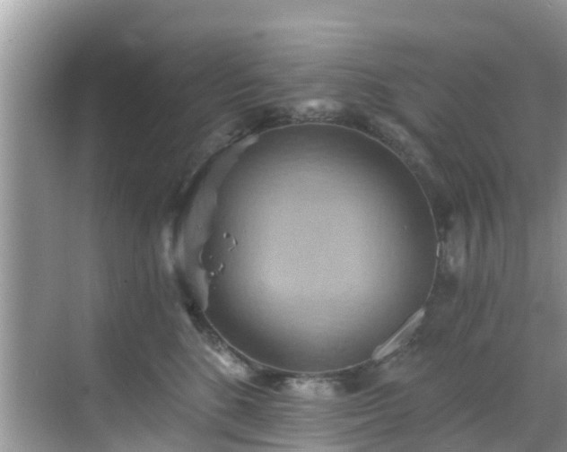 X0000068820520200605081149