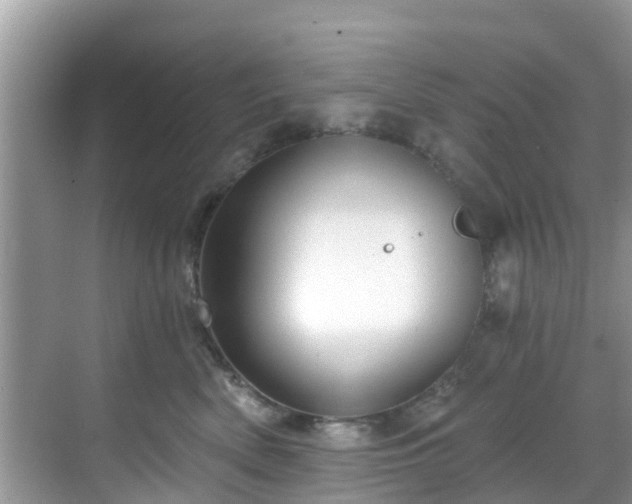 X0000068820522200605081148