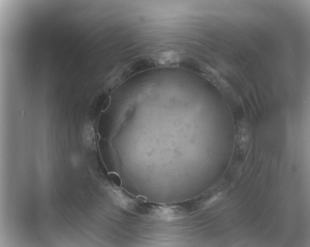 X0000068820523200605081148