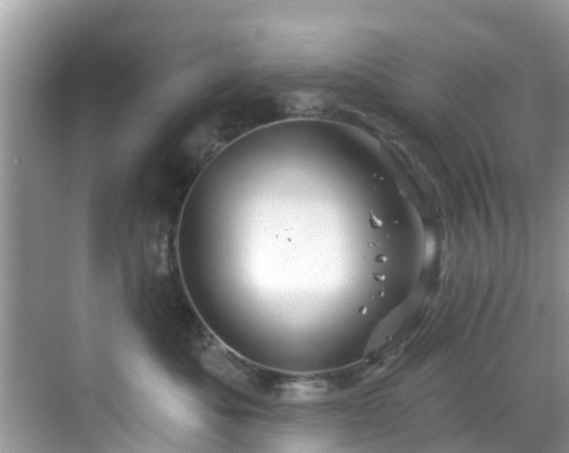 X0000068820525200605081148