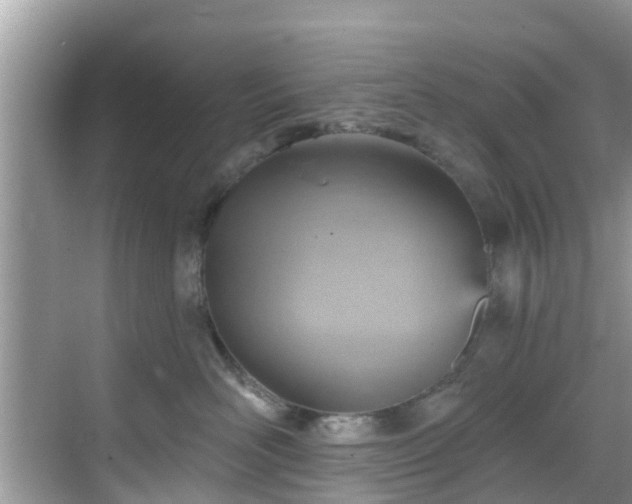 X0000068820526200605081148