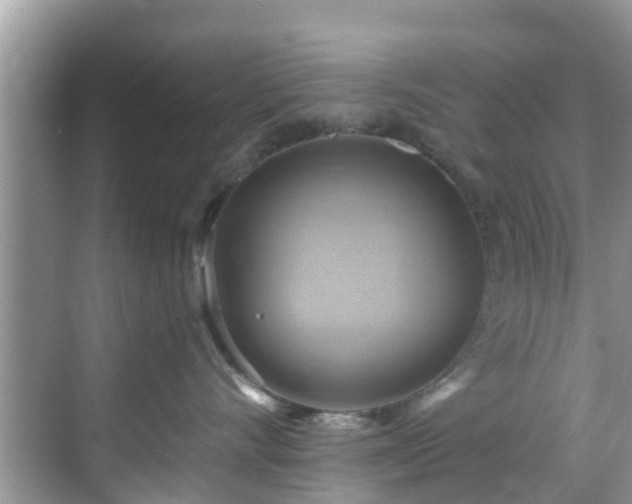 X0000068820528200605081148