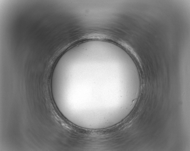 X0000068820529200605081148