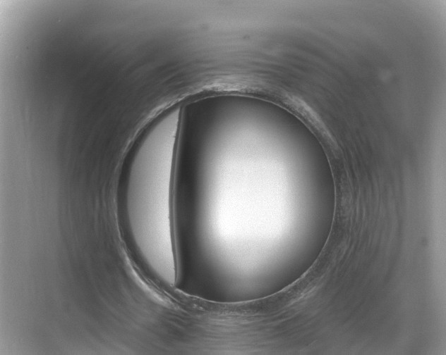 X0000068820530200605081148