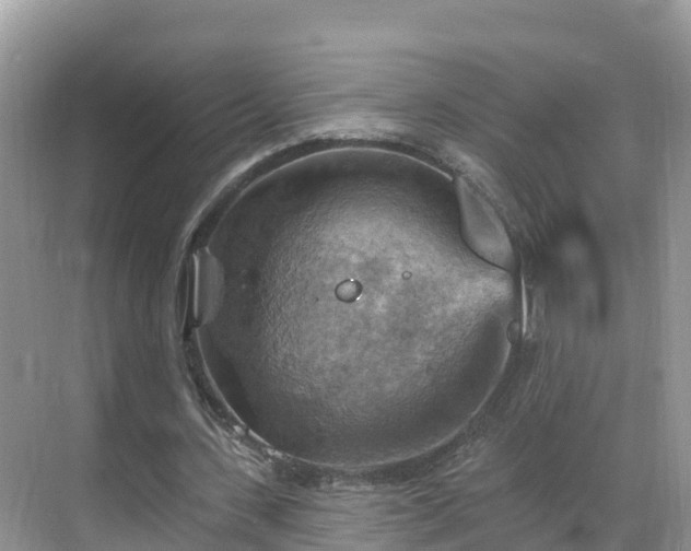 X0000068820531200605081148