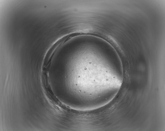 X0000068820532200605081148