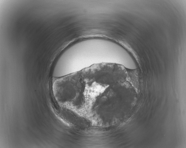 X0000068820533200605081148