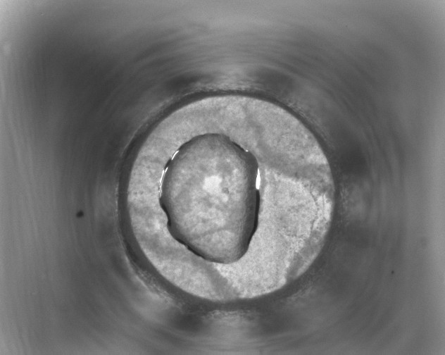 X0000068820534200605081148