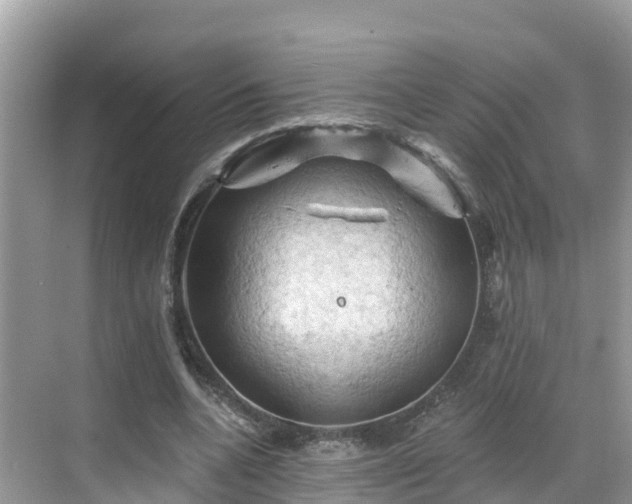 X0000068820536200605081148