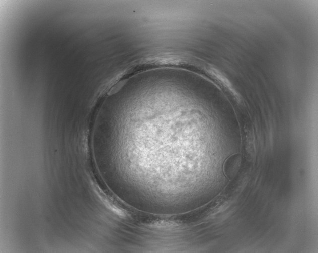 X0000068820537200605081148