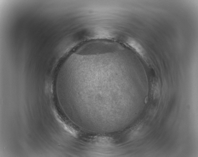 X0000068820539200605081148