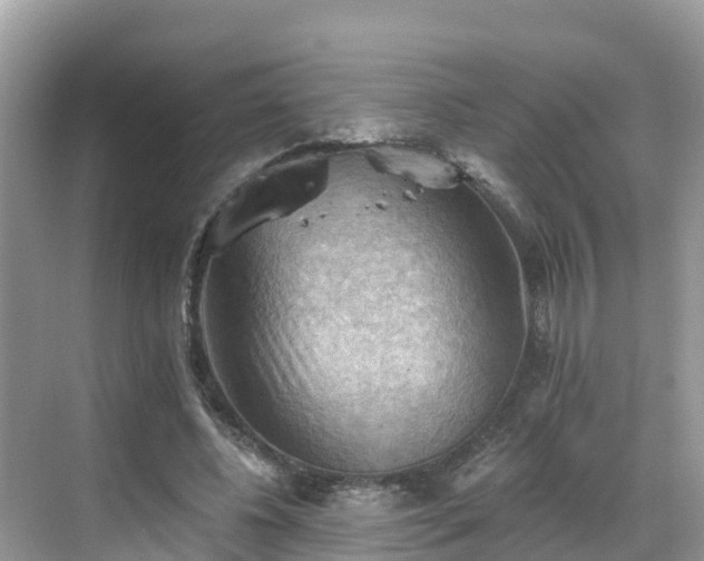 X0000068820540200605081148