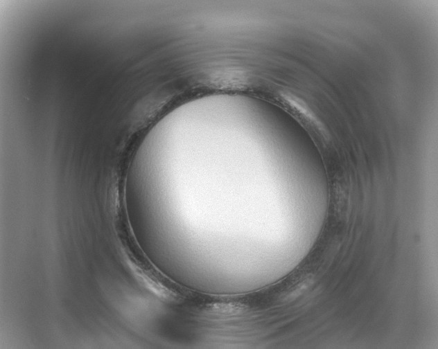 X0000068820541200605081148