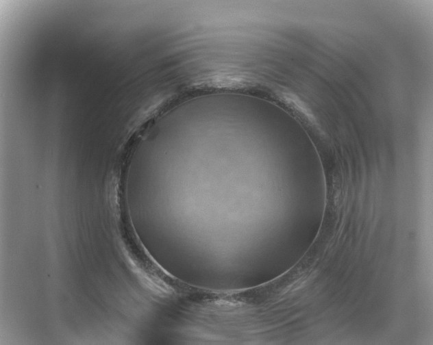 X0000068820542200605081148