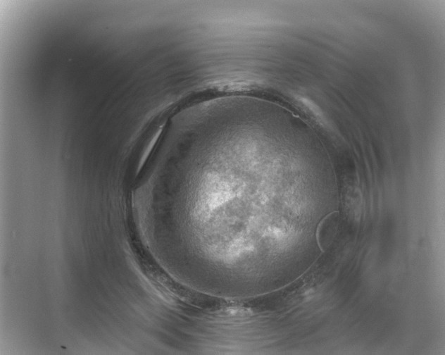 X0000068820543200605081148