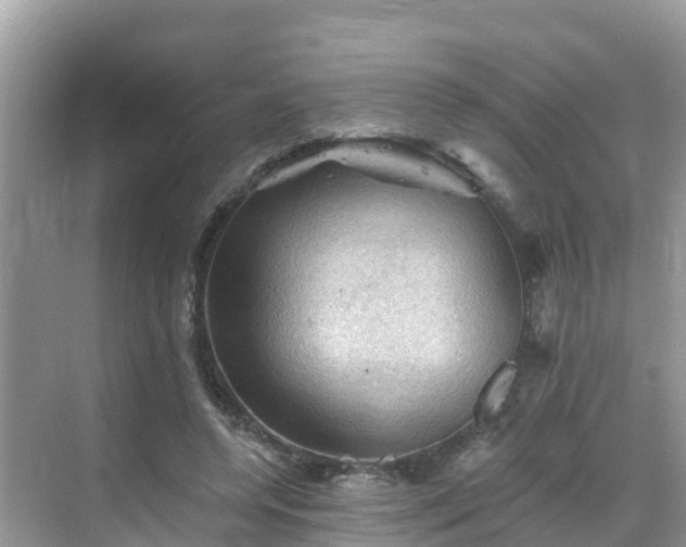 X0000068820544200605081148