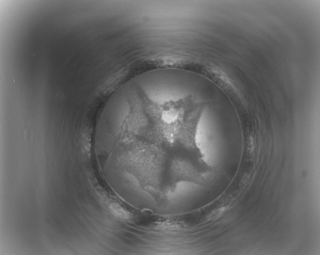 X0000068820545200605081148