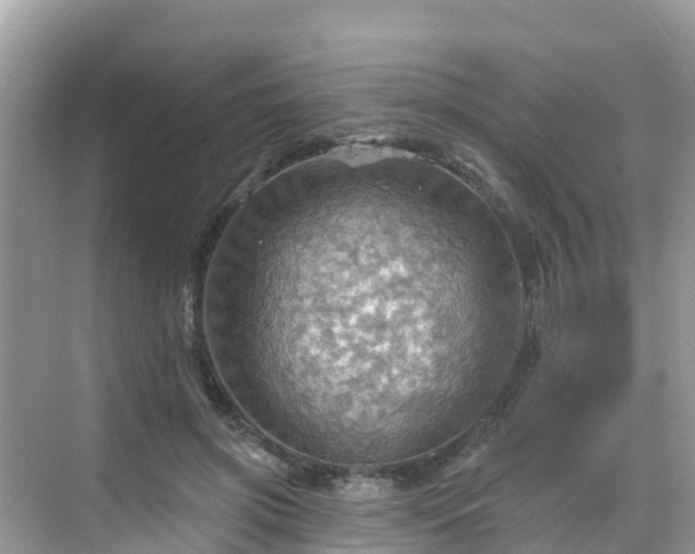 X0000068820549200605081148