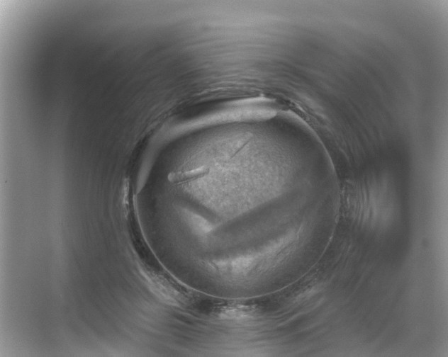 X0000068820550200605081148