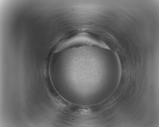 X0000068820552200605081148