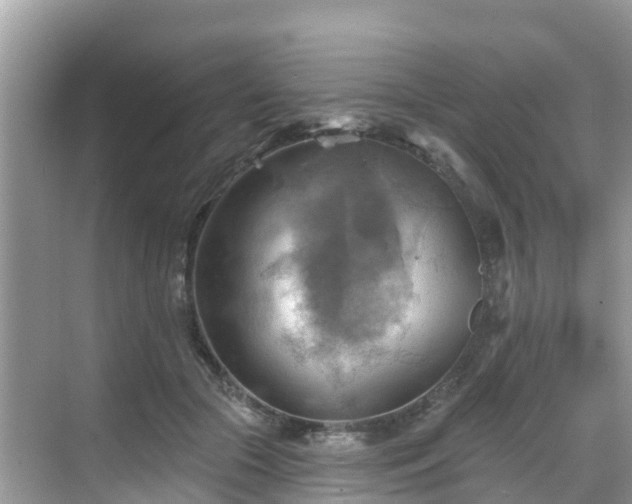 X0000068820553200605081148