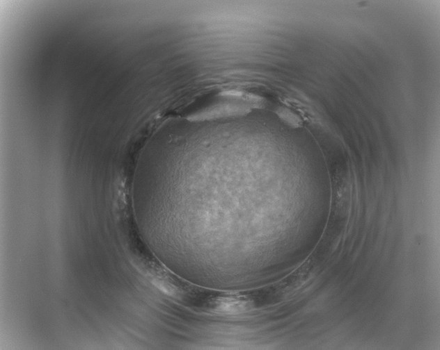 X0000068820555200605081148