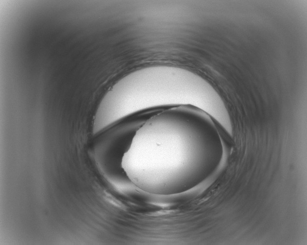 X0000068820556200605081148