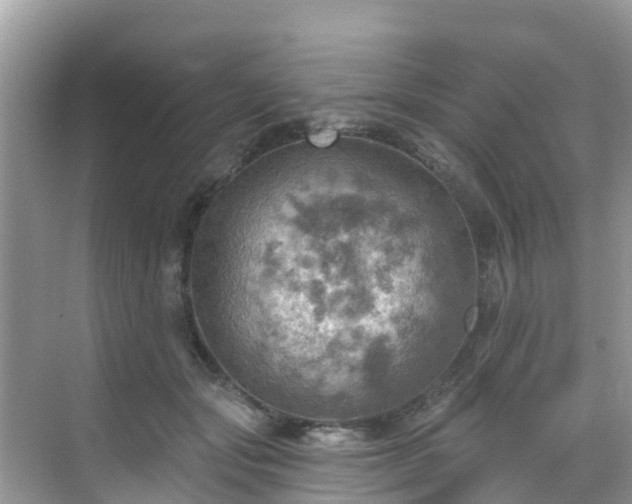 X0000068820557200605081148