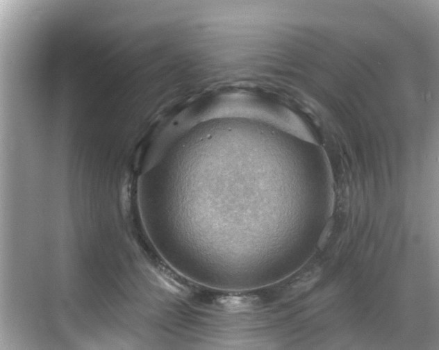 X0000068820558200605081148