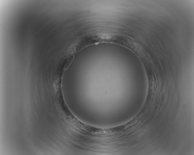 X0000068820559200605081148