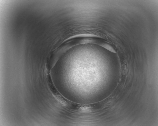 X0000068820560200605081148