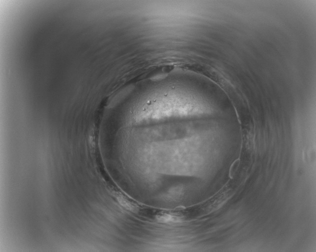 X0000068820561200605081148