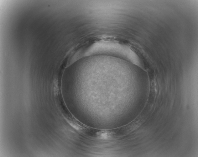 X0000068820564200605081148