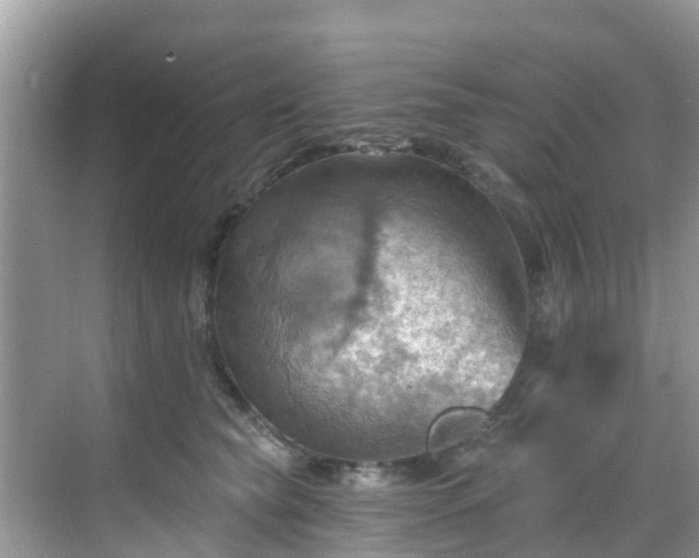 X0000068820565200605081148