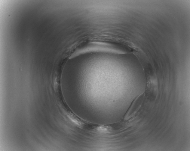 X0000068820566200605081148