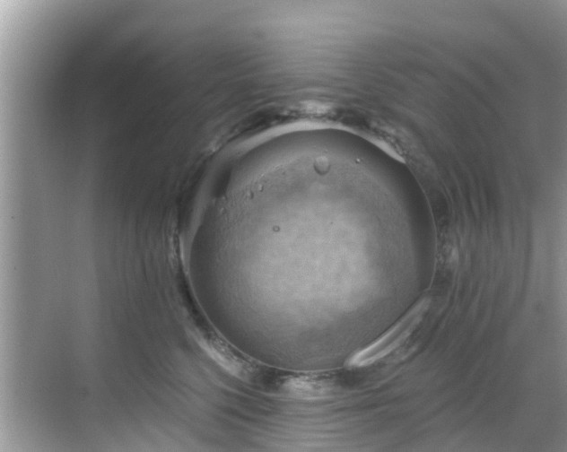 X0000068820568200605081148