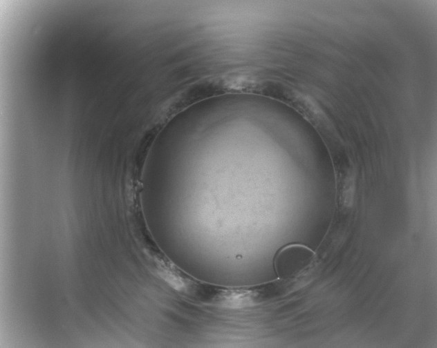 X0000068820569200605081148