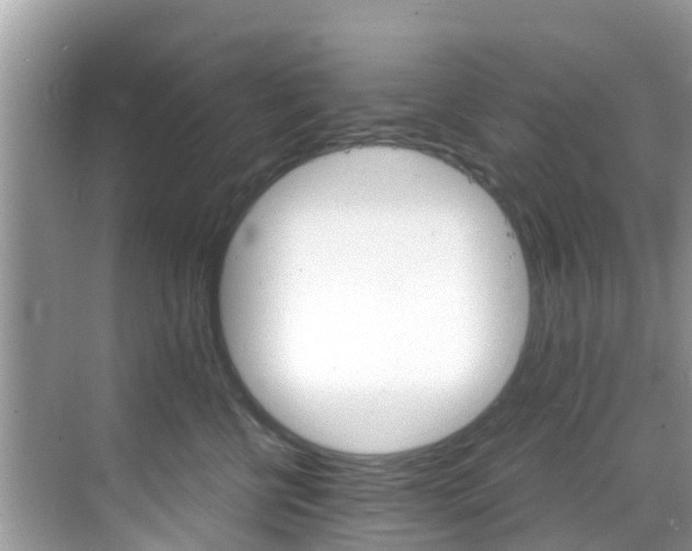 X0000068820570200605081148