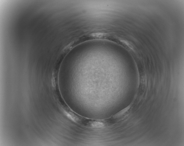 X0000068820572200605081148