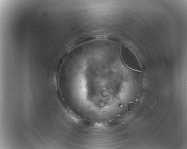 X0000068820573200605081148