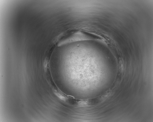 X0000068820574200605081148