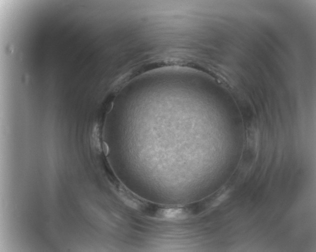 X0000068820575200605081148