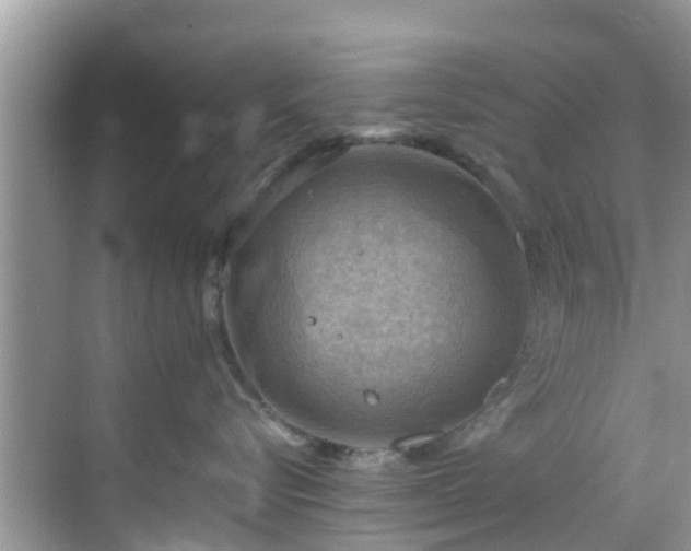 X0000068820576200605081148