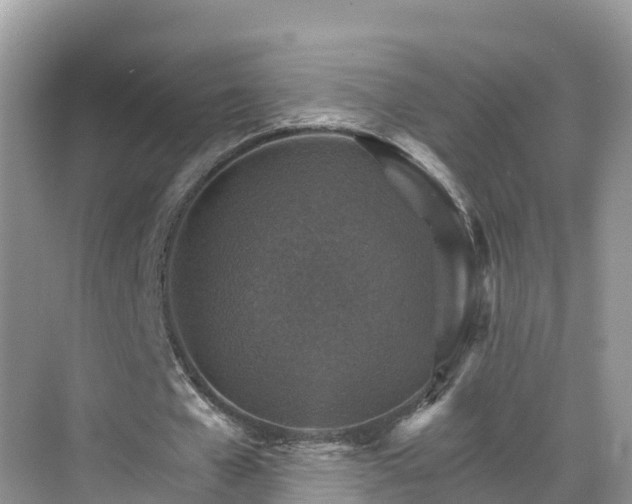 X0000068820577200605081148