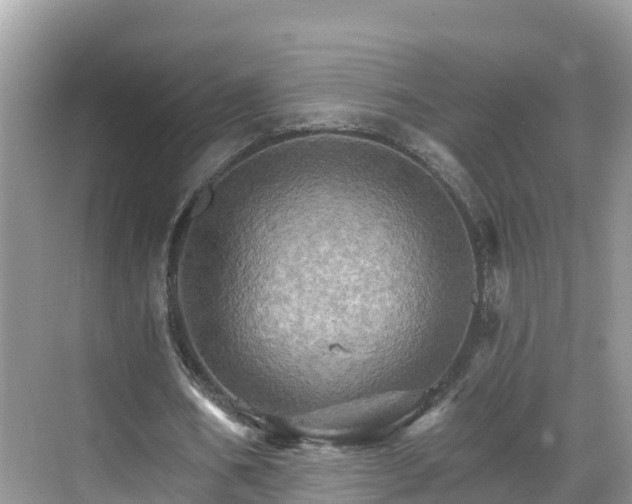 X0000068820578200605081148