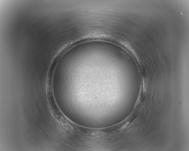 X0000068820579200605081148